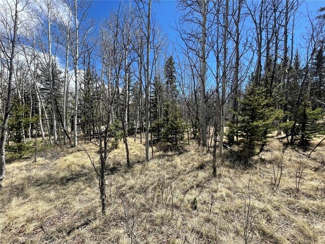 400 Vulture Ln, Como, CO 80432