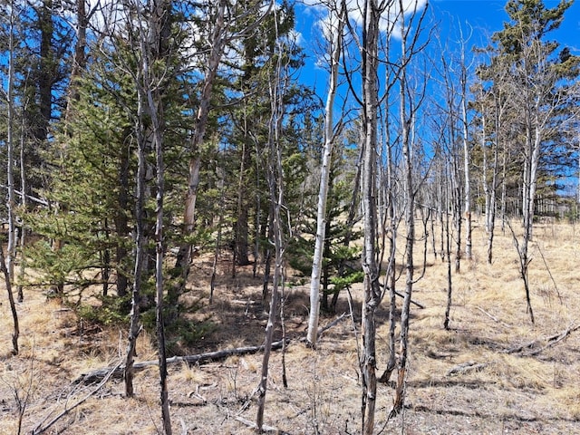 400 Vulture Ln, Como, CO 80432