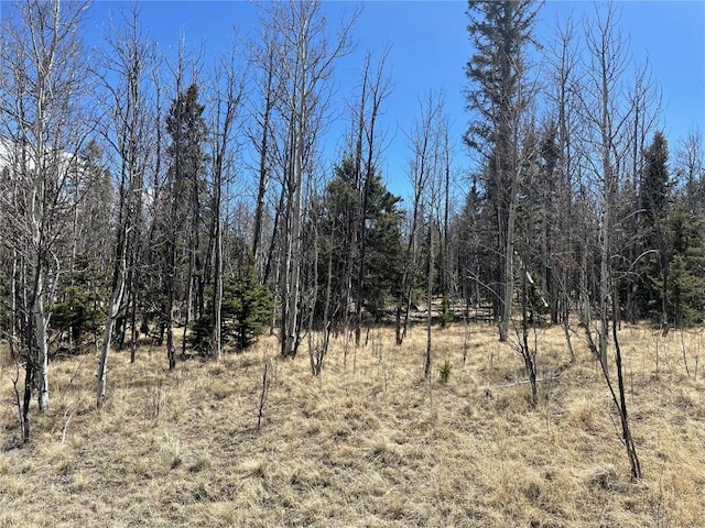 400 Vulture Ln, Como, CO 80432