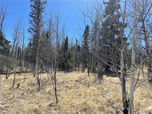 400 Vulture Ln, Como, CO 80432