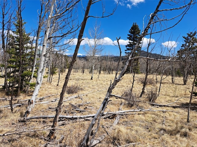 400 Vulture Ln, Como, CO 80432
