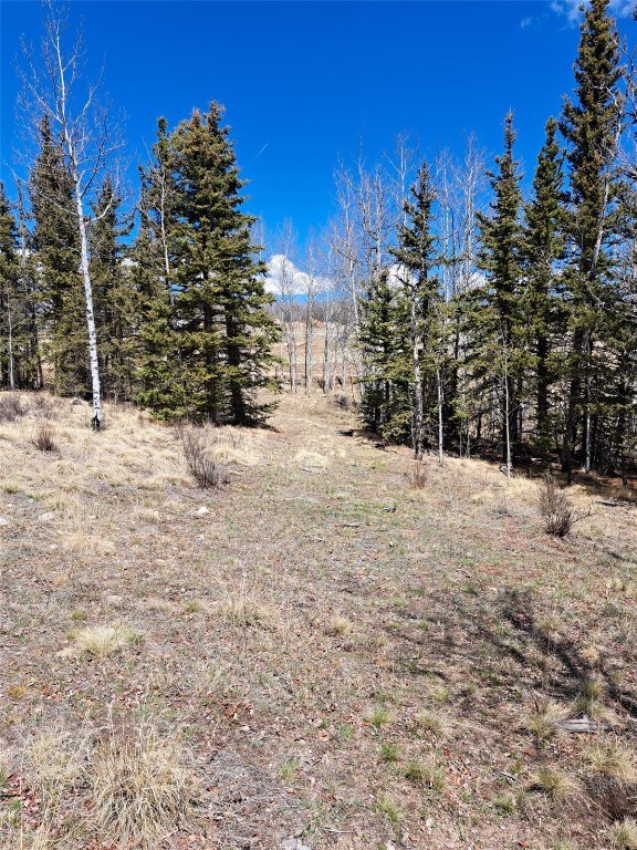400 Vulture Ln, Como, CO 80432