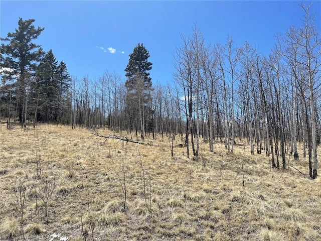 400 Vulture Ln, Como, CO 80432