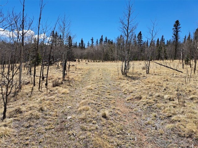 400 Vulture Ln, Como, CO 80432