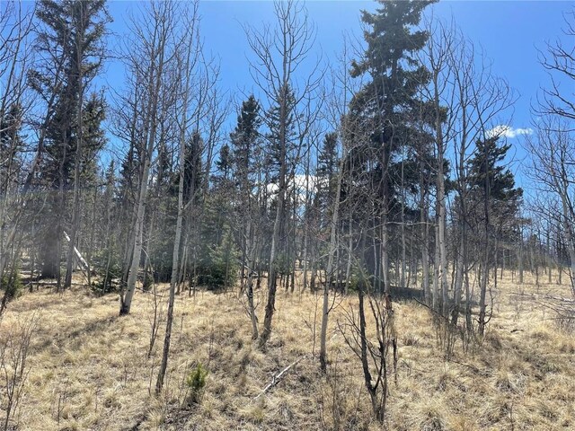 400 Vulture Ln, Como, CO 80432