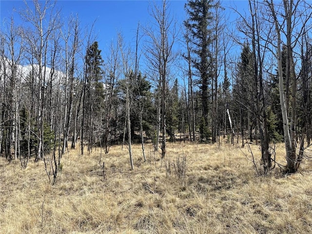 400 Vulture Ln, Como, CO 80432