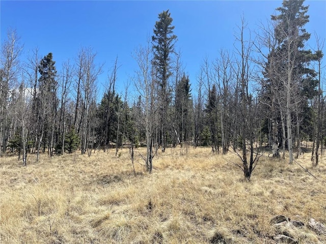 400 Vulture Ln, Como, CO 80432