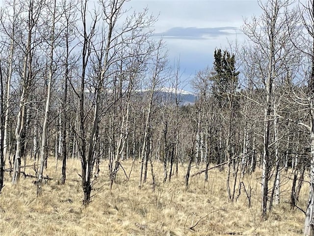 400 Vulture Ln, Como, CO 80432