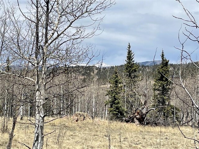400 Vulture Ln, Como, CO 80432