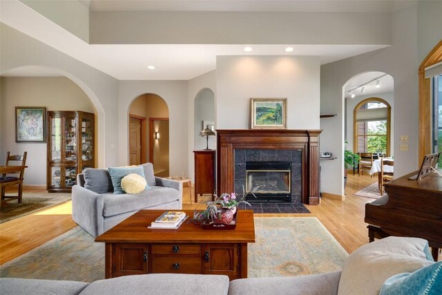 43855 Old Elk Trl, Steamboat Springs, CO 80487 - living room with wood finished floors, track lighting, a tiled fireplace, baseboards, and arched walkways