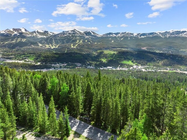 1375 Forest Hills Dr, Breckenridge, CO 80424