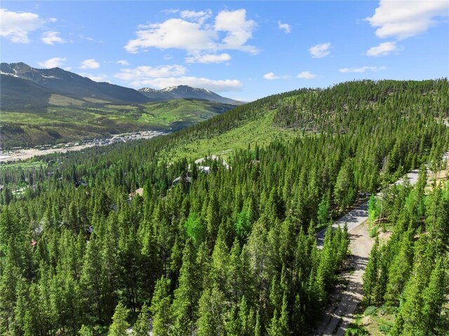 1375 Forest Hills Dr, Breckenridge, CO 80424