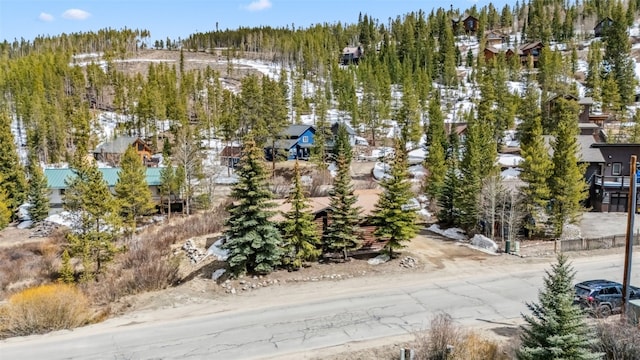 764 Blue Ridge Rd, Breckenridge, CO 80424