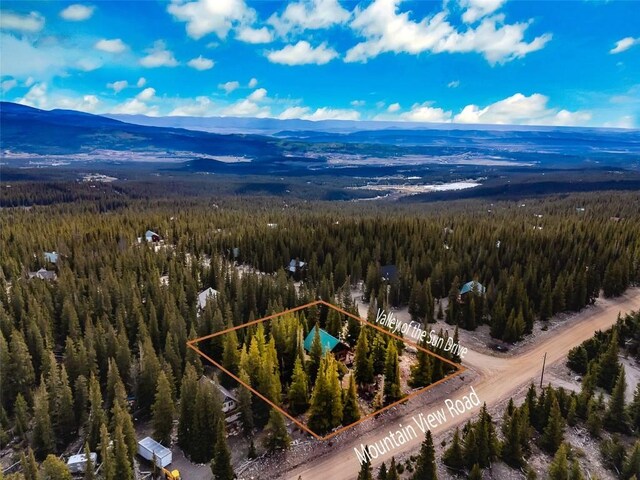 45 Valley Of The Sun Dr, Fairplay, CO 80440 - photo 16