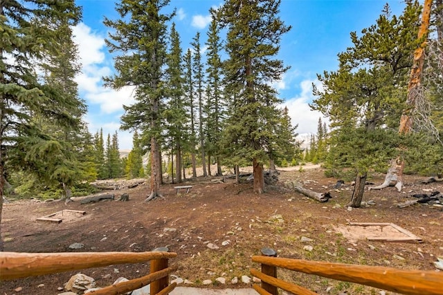 45 Valley Of The Sun Dr, Fairplay, CO 80440 - photo 31