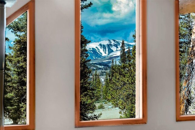 45 Valley Of The Sun Dr, Fairplay, CO 80440 - photo 26