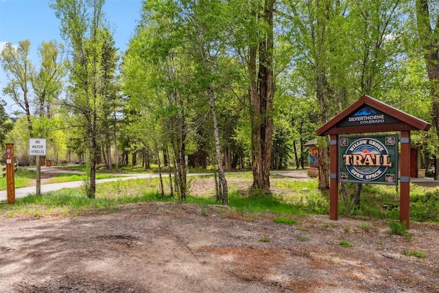 245 Tennis Ct, Silverthorne, CO 80498 - view of property's community