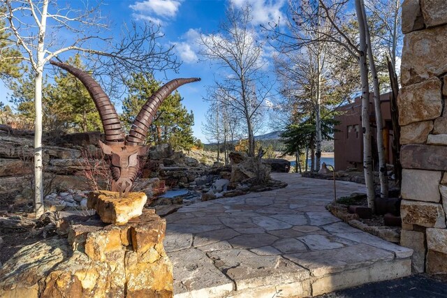 5910 County Road 10, Twin Lakes, CO 81251 - photo 19