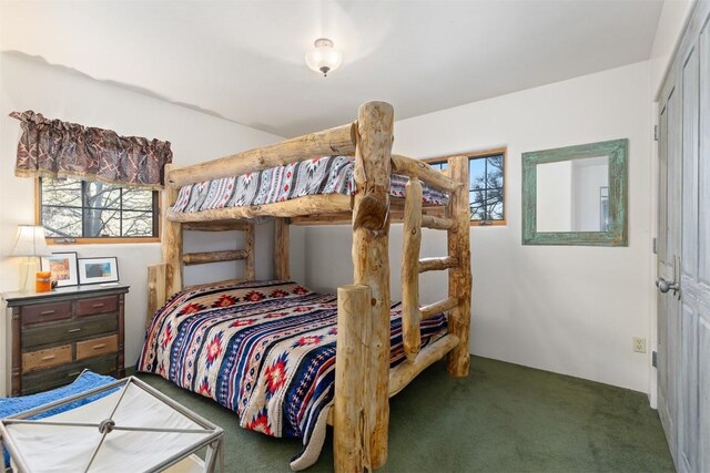 5910 County Road 10, Twin Lakes, CO 81251 - photo 44