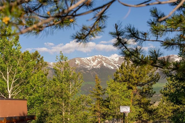 5910 County Road 10, Twin Lakes, CO 81251 - photo 5