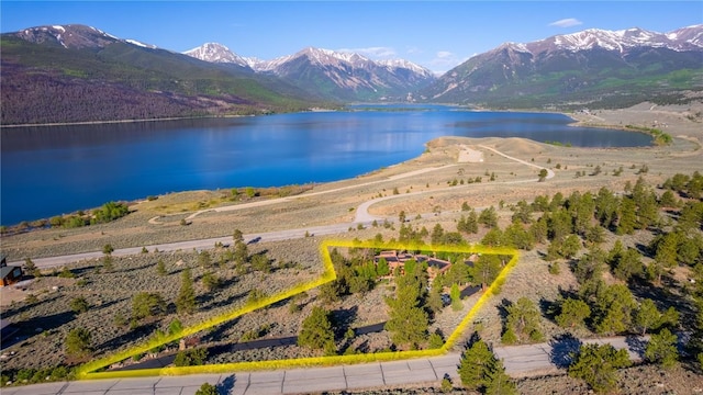 5910 County Road 10, Twin Lakes, CO 81251 - photo 10
