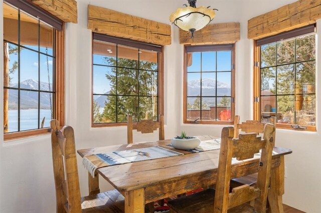 5910 County Road 10, Twin Lakes, CO 81251 - photo 29