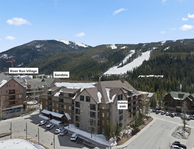 150 Dercum Sq Unit 8499, Keystone, CO 80435 - mountain view featuring a forest