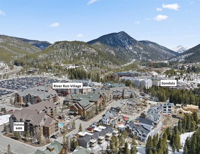 150 Dercum Sq Unit 8499, Keystone, CO 80435 - view of mountain backdrop