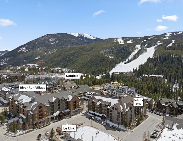 150 Dercum Sq Unit 8499, Keystone, CO 80435 - mountain view