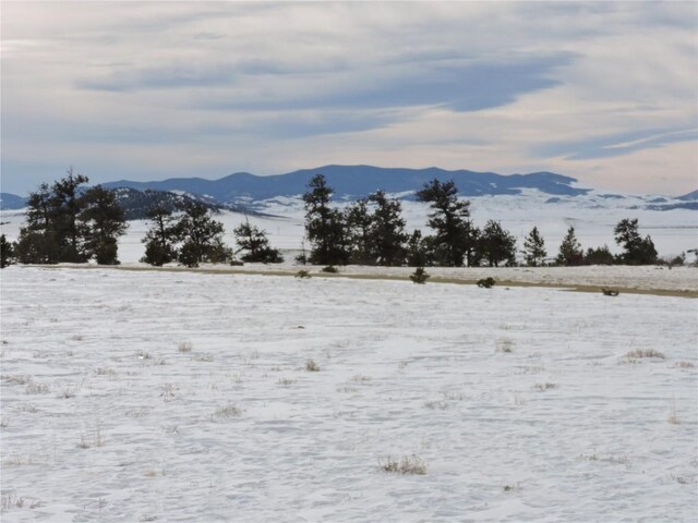 2418 Goldenburg Canyon Rd, Hartsel, CO 80449