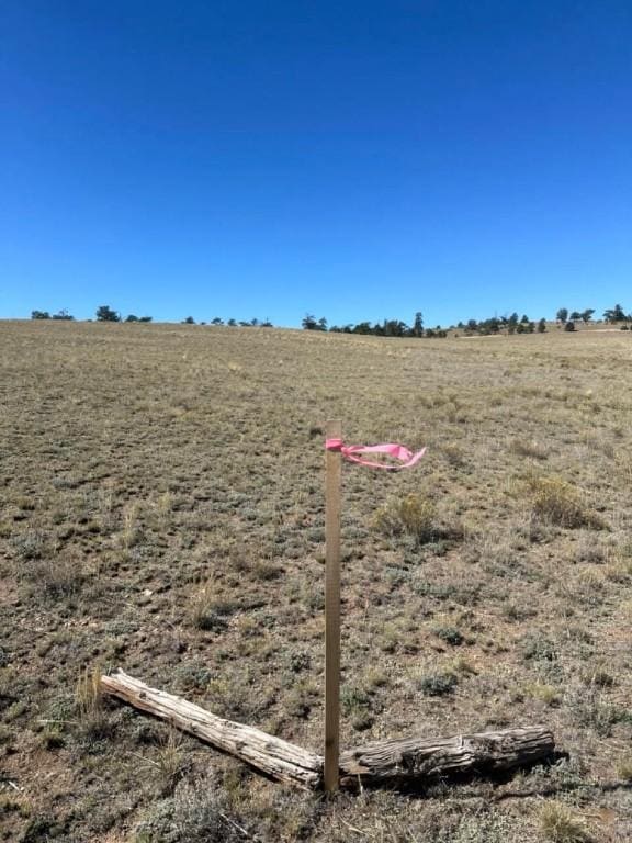 2418 Goldenburg Canyon Rd, Hartsel, CO 80449