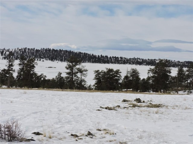 2418 Goldenburg Canyon Rd, Hartsel, CO 80449
