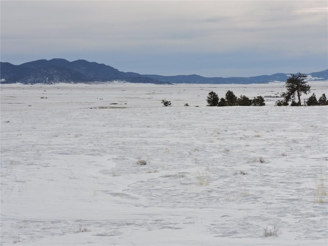 2418 Goldenburg Canyon Rd, Hartsel, CO 80449