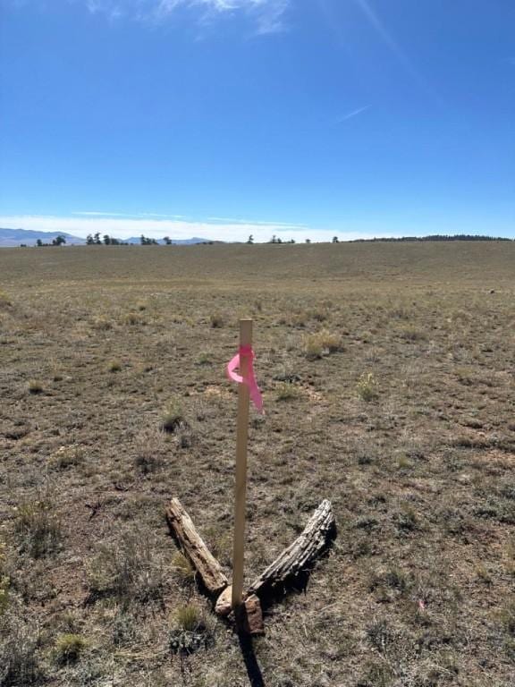 2418 Goldenburg Canyon Rd, Hartsel, CO 80449