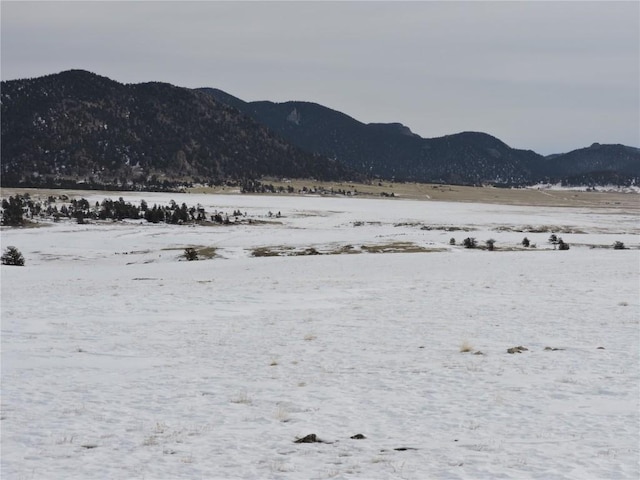 2418 Goldenburg Canyon Rd, Hartsel, CO 80449