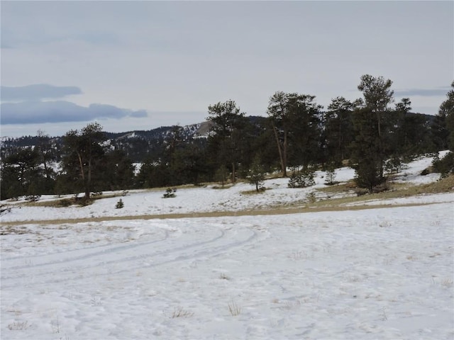 2418 Goldenburg Canyon Rd, Hartsel, CO 80449
