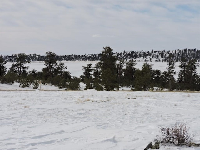 2418 Goldenburg Canyon Rd, Hartsel, CO 80449