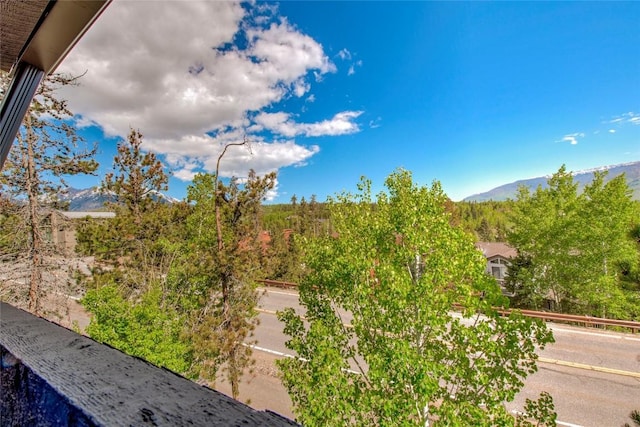 51 Salt Lick Cir Unit 51, Silverthorne, CO 80498 - view of yard with a mountain view