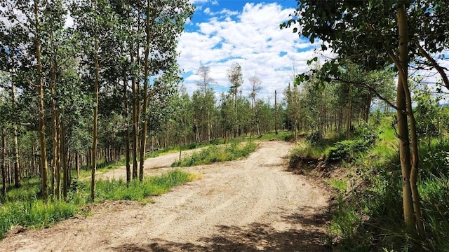 816 Little Baldy Cir, Fairplay, CO 80440