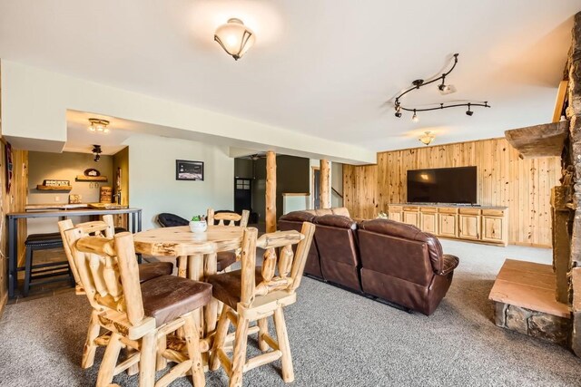 133 Lake Dr, Florissant, CO 80816 - photo 28