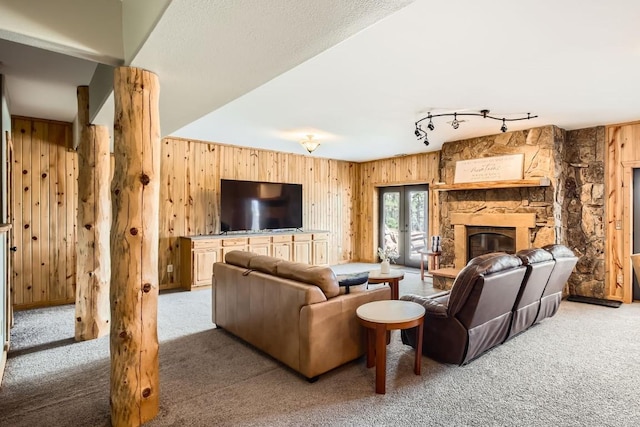 133 Lake Dr, Florissant, CO 80816 - living area with wood walls and carpet flooring