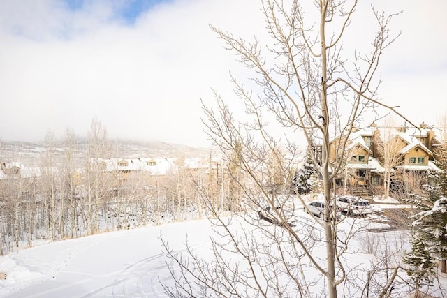 view of snowy landscape