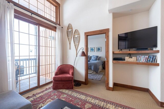 living area with carpet floors