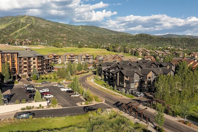 2404 Cattle Kate Cir Unit 21, Steamboat Springs, CO 80487 - photo 37