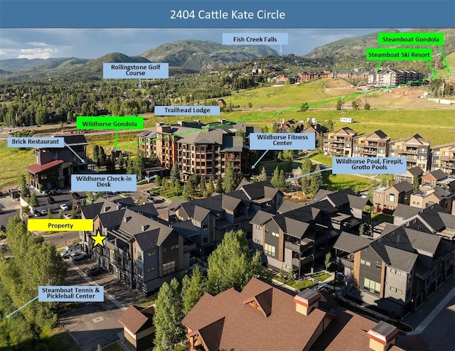 2404 Cattle Kate Cir Unit 21, Steamboat Springs, CO 80487 - photo 43