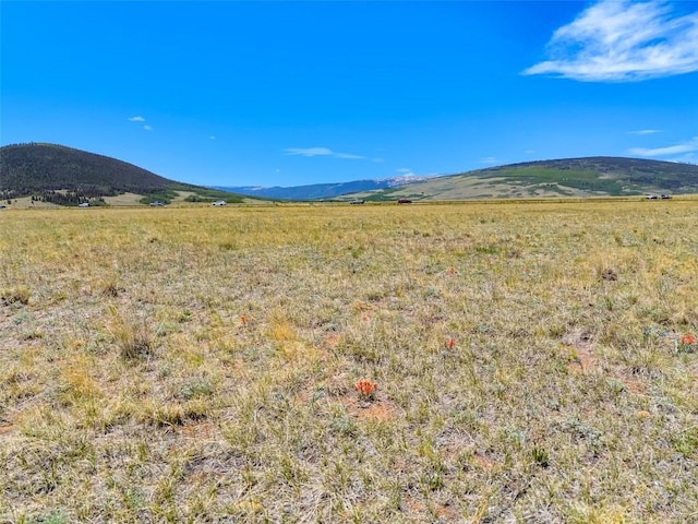 101 Royal Coachman Ln, Fairplay, CO 80440