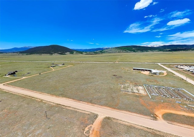 101 Royal Coachman Ln, Fairplay, CO 80440