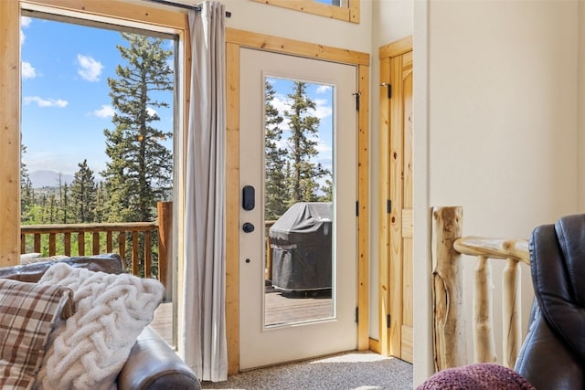 1729 Pinto Trl, Como, CO 80432 - entryway with carpet floors, healthy amount of natural light, and a mountain view