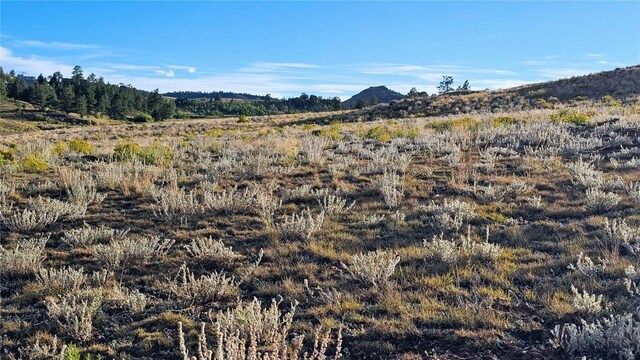 2667 Cahokia Rd, Hartsel, CO 80449 - photo 34