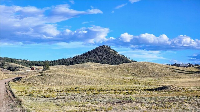 2667 Cahokia Rd, Hartsel, CO 80449 - photo 7